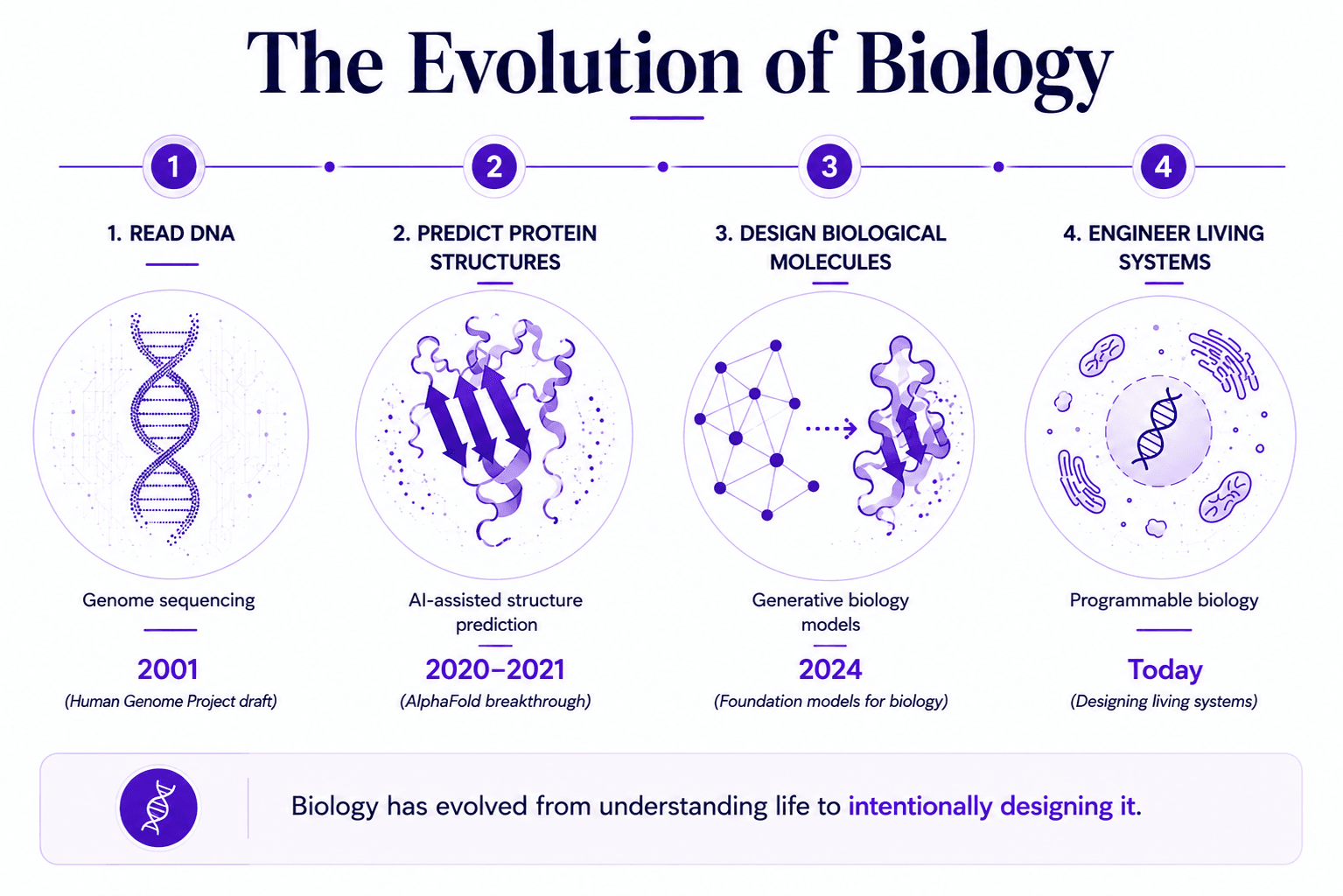 Evolution.png
